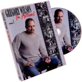 DVD ´In Action Vol.1 (Gregory Wilson)