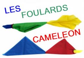 Foulards Caméléon