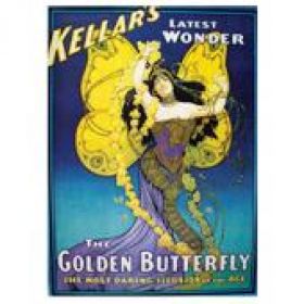 Poster Golden butterfly