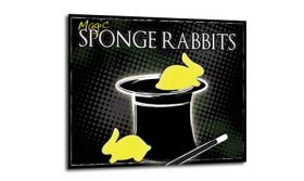 Sponge Rabbit