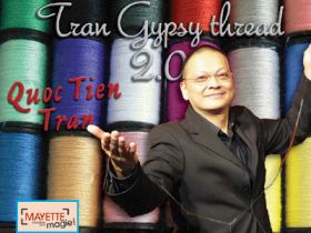 Tran Gypsy Thread 2.0 5 (Fil à coudre coupé)