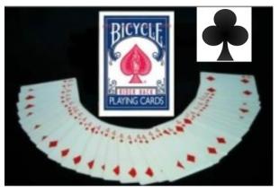 Jeu Bicycle à forcer Trèfle format poker - 52 cartes identiques