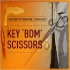Ciseau Key BDM (scissors)